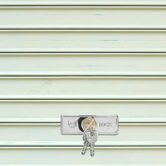 ETHZZLE Roller Shutter Door Lock With Anti-Theft Feature In Silver 1 Set For Garage Door