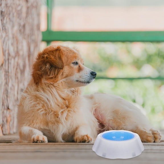 ETHZZLE Sky Blue Pet Frosty Water Bowl with Smooth Surface for Easy Cleaning and Cooling