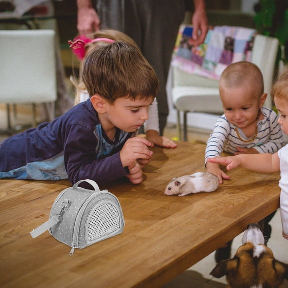 ETHZZLE Small Pet Travel Pouch with Breathable Material and Lightweight Design for Hamsters and Small Animals