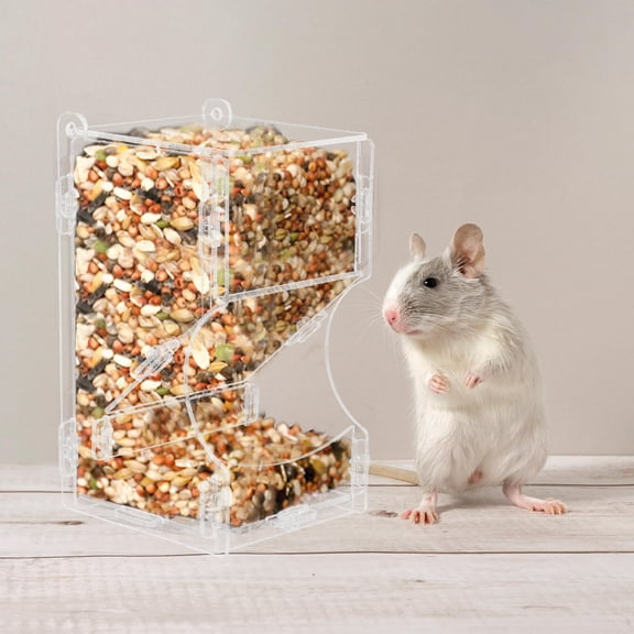 ETHZZLE Transparent Acrylic Automatic Pet Feeder for Guinea Pigs and Small Animals