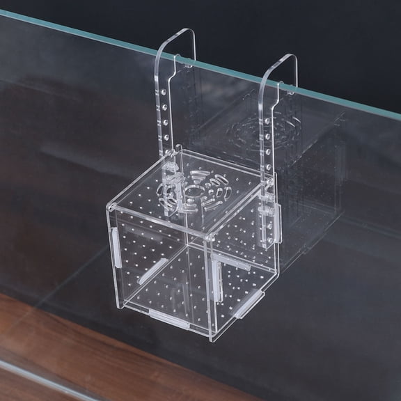 ETHZZLE Transparent Aquarium Isolation Box for Fish Breeding 1Set
