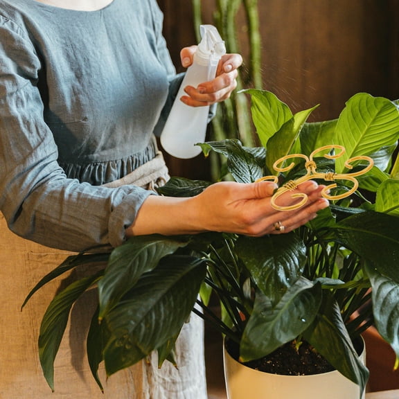 ETHZZLE Sturdy Golden Iron Plant Stem Organizer for Kitchen Elegant and Anti-Fall Support