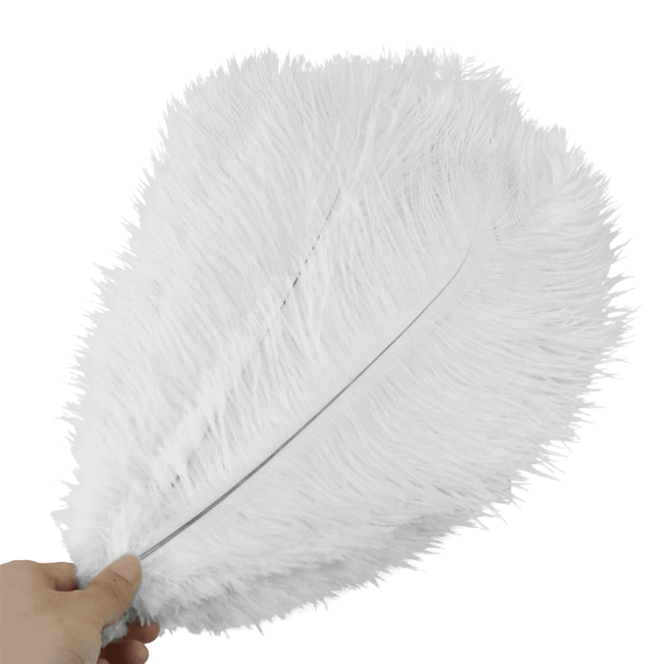 100 Pcs Natural Ostrich Feathers - Colorful, Fluffy Feathers For DIY Jewelry, Dream Catchers, Costumes & Party Decor