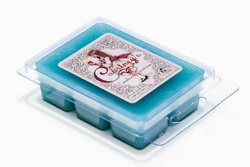 EUCALYPTUS SPEARMINT 10-Pack Mixer Melt or Wax Tart by Courtneys Candles