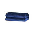 thumbnail image 1 of EUDIDV Fleece Throw Blanket 100X150cm Super Soft Warm Solid Warm Fleece Blanket Throw Rug Sofa Bedding Soft Snuggle, 1 of 3