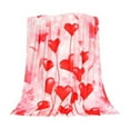 thumbnail image 1 of EUDIDV Romantic Presents Valentine's Day Heart Pattern Flannel Blanket Soft And Light And Easy To Wash Romantic And Warm Ideal For Sofa Beds Valentine's Decor, 1 of 6