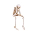 thumbnail image 1 of EUDIDV Spooky Halloween Ornaments Halloween Figurines Halloween Skeleton Resin Decoration Ghost Festival Skeleton Decoration 20cm, 1 of 3