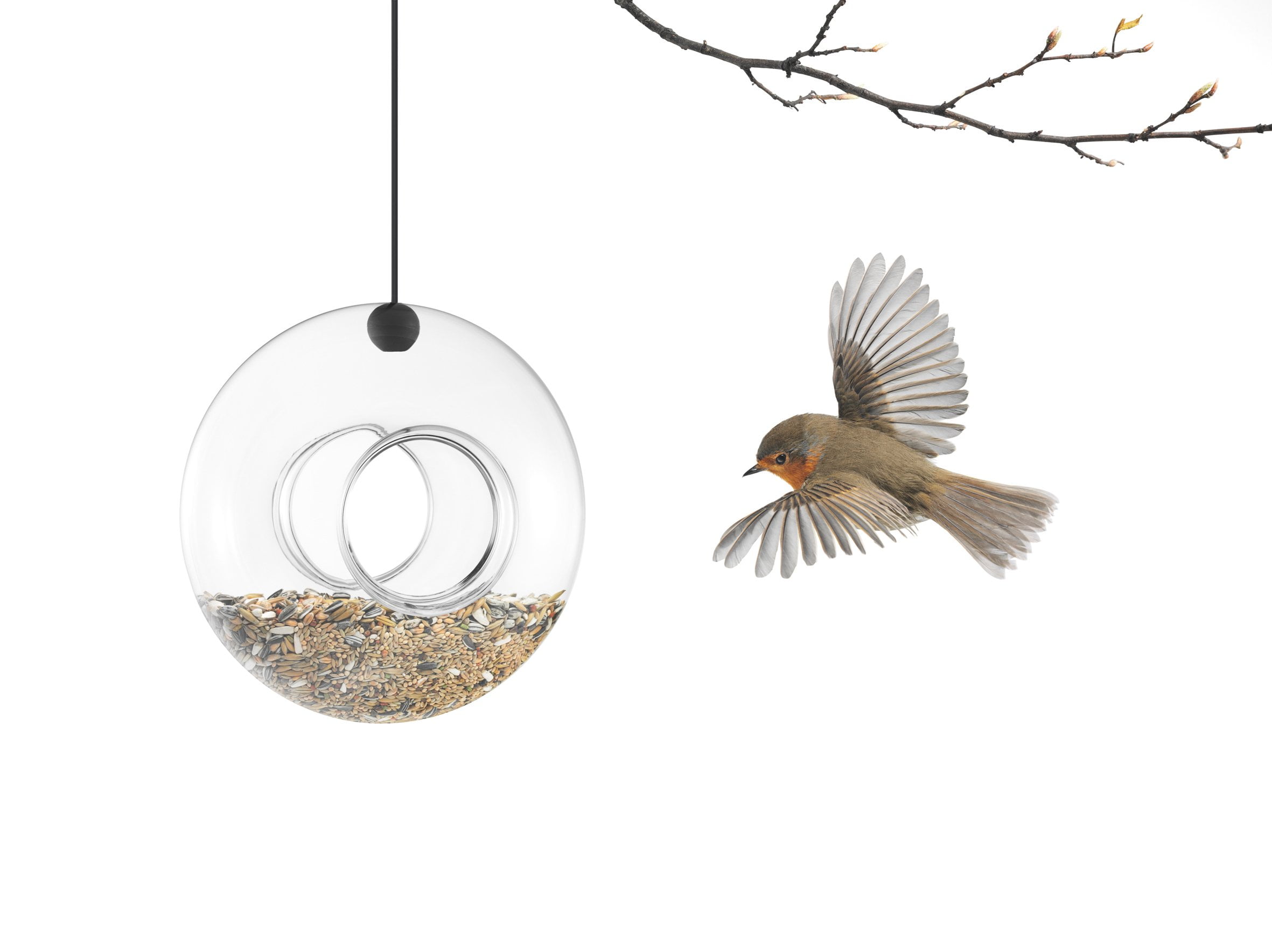 EVA SOLO Bird Feeder HYZ01 MouthBlown Glass Easy to Clean