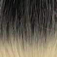 thumbnail image 1 of EVE HAIR - PLATINO PONY TAIL WEAVE MALAYSIAN WAVE 30", 1 of 7