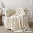 thumbnail image 1 of EVERGRACE Chunky Chenille Knit Throw Blanket for Couch, Soft Luxurious Moss Stitch Blankets for Bed, Cozy Decorative Farmhouse Knitted Throws for Sofa, Ivory White, 50" x 60", 1 of 9