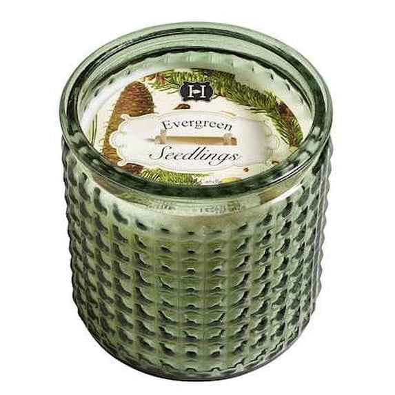 EVERGREEN SEEDLINGS Hillhouse Naturals 15 oz Large Glass Scented Jar Candle