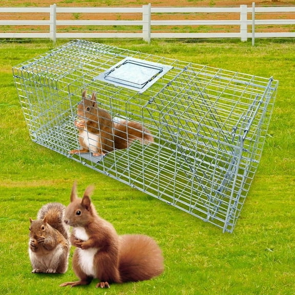 EVGTTI 31" Live Animal Cage Trap, Heavy Duty Folding Traps, Hunting Cage Traps, Raccoons, Squirrel, Skunk, Mole, Groundhog, Armadillo, Rabbit, Chipmunks, Catch and Release