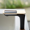 thumbnail image 1 of EVIVA Black Rose One-Handle Bathroom Faucet, 1 of 3