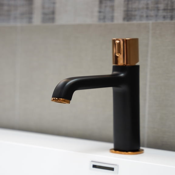 EVIVA Black Rose One-Handle Bathroom Faucet