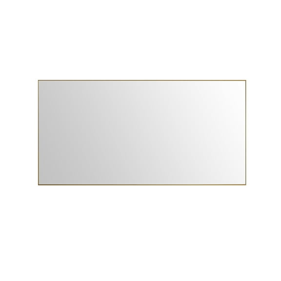 EVIVA Gold 60X30 Inch Modern Framed Bathroom Mirror