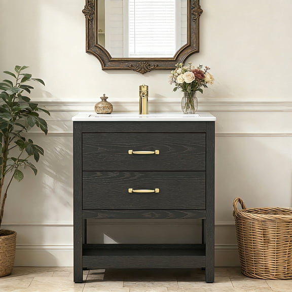 EVOKEDEN 24” Bathroom Vanity with Sink, Modern Bathroom Cabinet Set with LED Light for Small Space, 2 Soft-Close Drawers with Organizer, Black