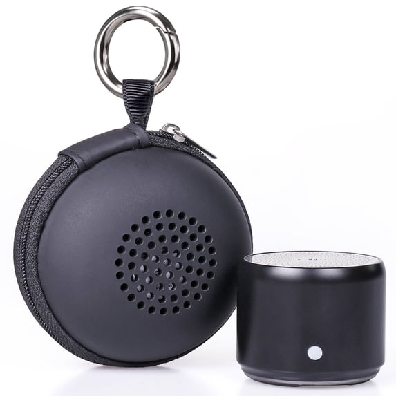 EWA Travel Case Packed, A106 Pro Portable Bluetooth Speaker with Custom Bass Radiator, Brief Design, IP67 Waterproof, Perfect Mini Speaker for Shower, Room, Bike, Car (Black)