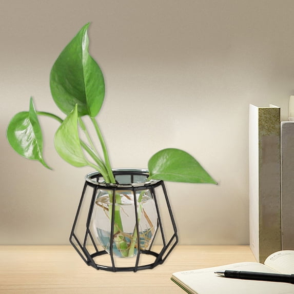 EWASWON Hydroponic Vase with Iron Stand, Small Glass Planter for Propagation, Tabletop Decor for Living Room Home Office, Housewarming Gift