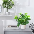 thumbnail image 1 of EWASWON Realistic Artificial Plants for Home Decor, Small Faux Potted Greenery for Office Desk Tabletop, No Maintenance Compact Fake Plant in Pot, 11 Inches, 1 of 6