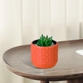 thumbnail image 1 of EWASWON Small Dried Flower Vase Faux Ceramic Plastic Pampas Grass Holder for Living Room Cabinet Tabletop Decor - 3.82x3.35x2.99 Inches, 1 of 6