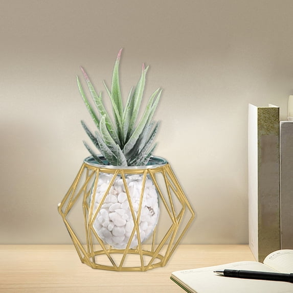 EWASWON Small Hydroponic Vase with Iron Stand Clear Glass Table Centerpiece for Home Decor Living Room Decoration Small Glass Vase with Metal Stand for Office Desk