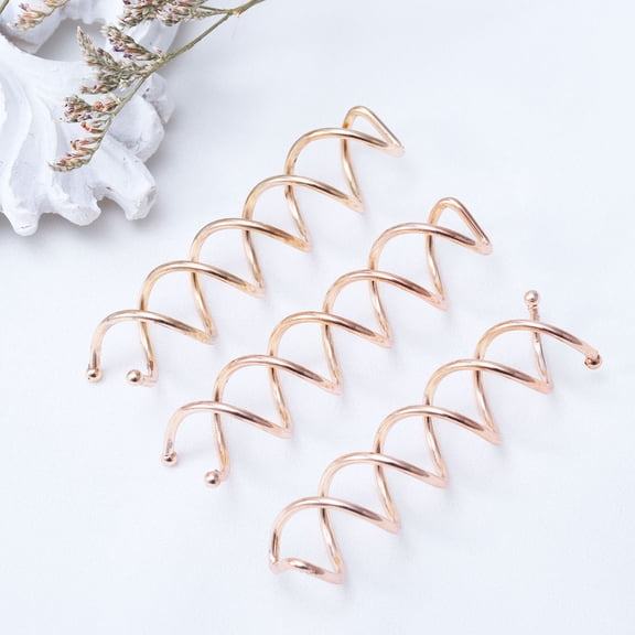 EXHUMKY 10 Pcs Spiral Hair Pins in Golden for Women Hair Stylists for DIY Hair Style and Daily Use