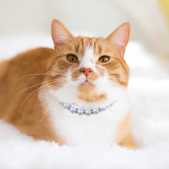 EXHUMKY 1Set Pet Pearls Collar White Imitation Studded with Ribbon Bow for Wedding and Parties