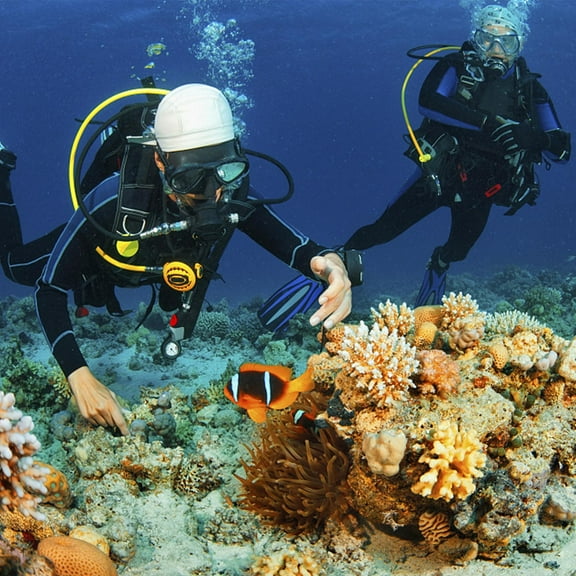 EXHUMKY 1Set Stainless Steel Diving Goggle for Family 14.0X12.0X9.0in