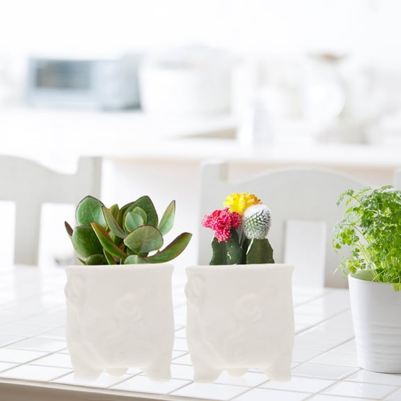 EXHUMKY 2-Pack White Ceramic Plant Pots for Indoor Outdoor Use, Ideal Garden and Christmas Decoration