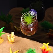 EXHUMKY 2pcs Aquarium Plant Pots Wall Mount Fish Tank Decorative Glass Cups