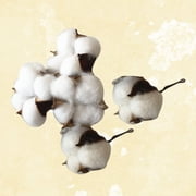 EXHUMKY 5Pcs Cotton Flower Decor Soft Natural Look Cotton Stalks for Rustic Decoration