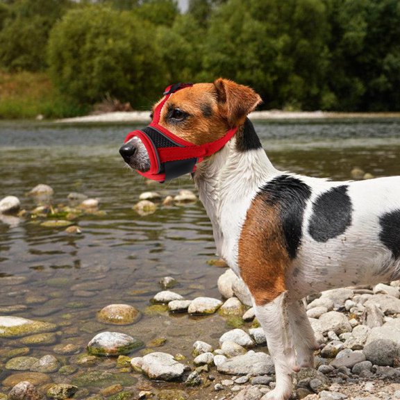 EXHUMKY Daily Walks Muzzle For Pets Mesh Fabric Multi Fitted Adjustable Strap 1Set