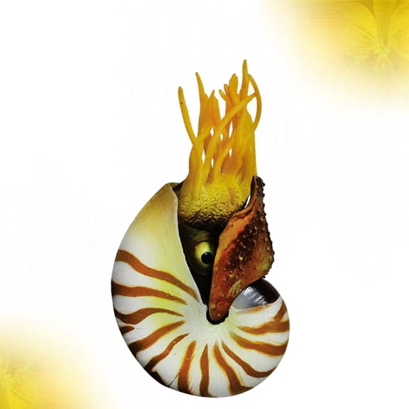 EXHUMKY Aquarium Seashell Decoration Multi Colored Nautilus Shaped Tank Decor for Artists 1Pcs