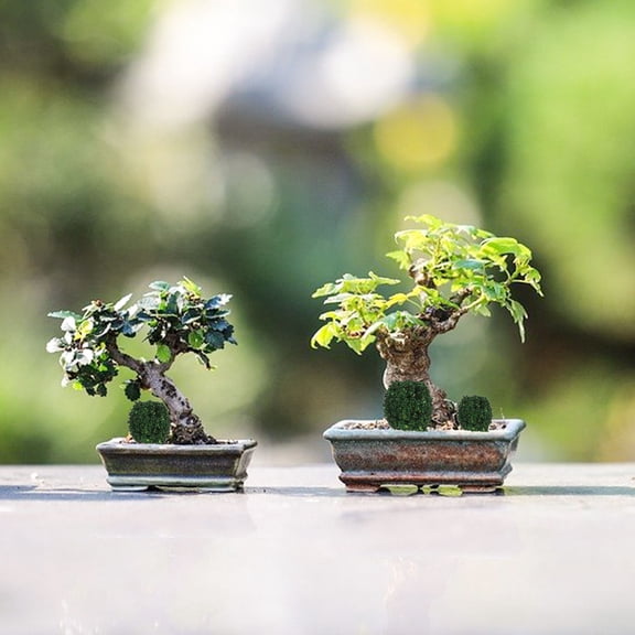 EXHUMKY Green Miniature Plastic Tree for Dollhouse Decoration, Model Train Scenery, Landscape Accessories, and Craft Project Use