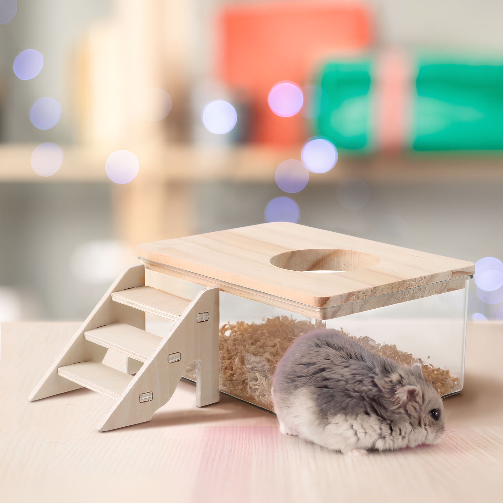 EXHUMKY Hamster Sand Bath, Transparent Design, Secure Lid, Easy Access ...