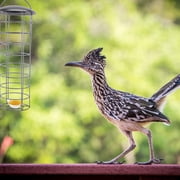 EXHUMKY Durable Black Bird Feeder with Hollow Design for Outdoor 1Pc