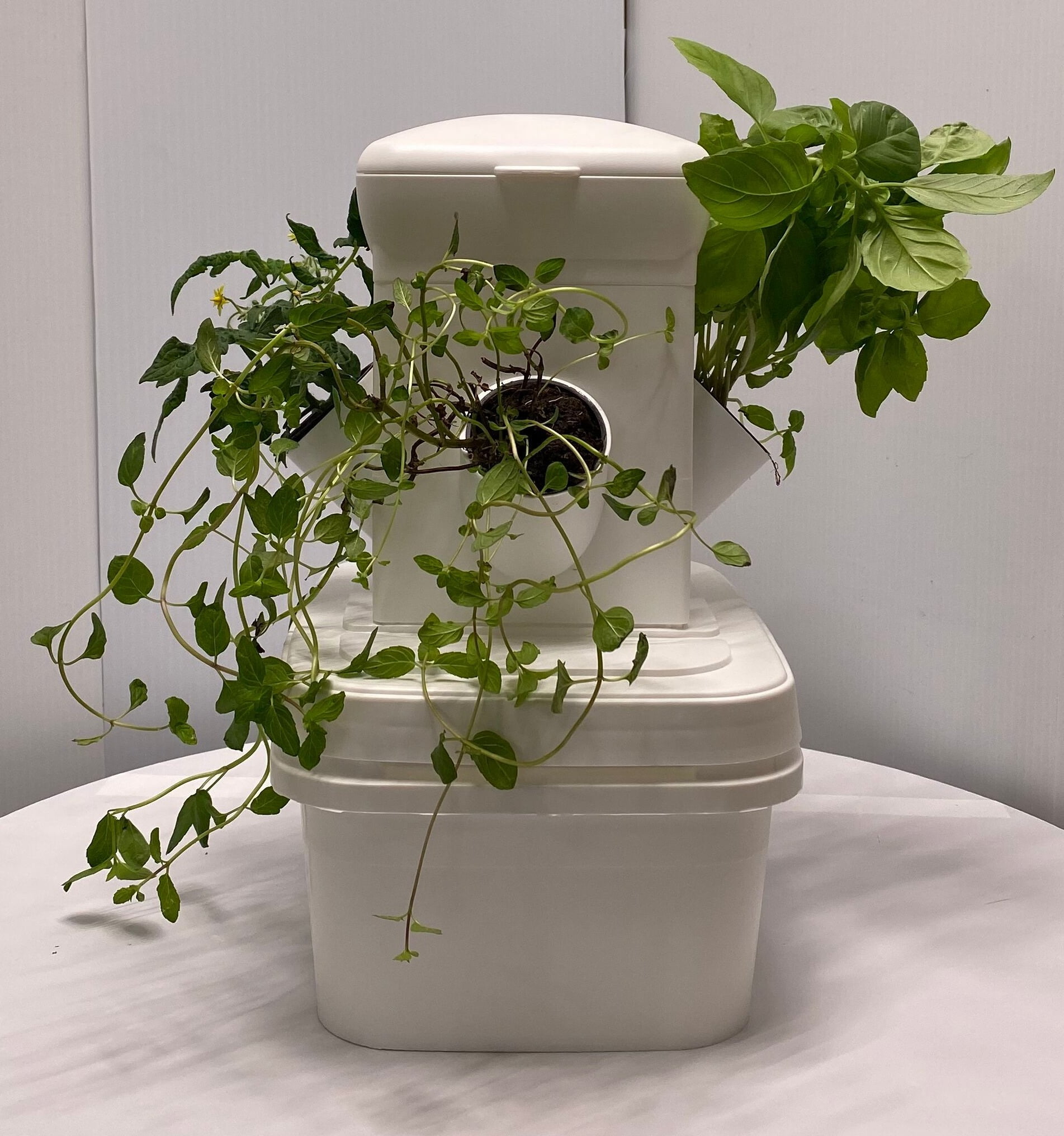 EXO Hydroponics Growing System Tier 1 Mini Tower - Advanced Indoor