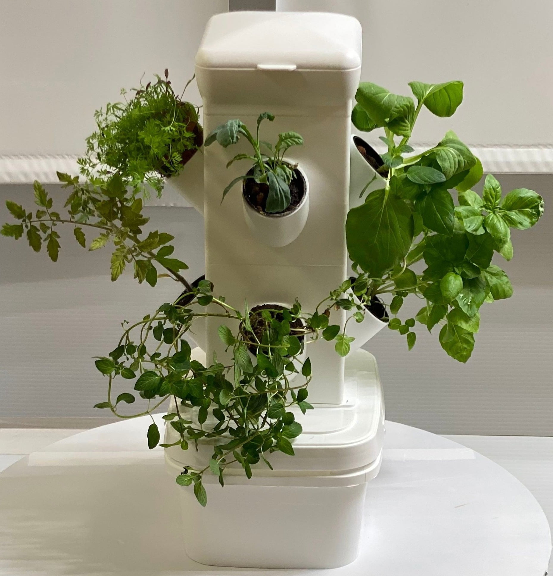 EXO Hydroponics Growing System Tier 2 Mini Tower - Advanced Indoor