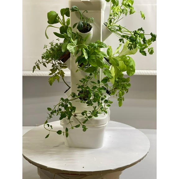 EXO Hydroponics Growing System Tier 3 Mini Tower - Advanced Indoor Gardening Kit for Healthy Plants - Automate Aeroponics Mini Indoor Outdoor Home Grow Herb