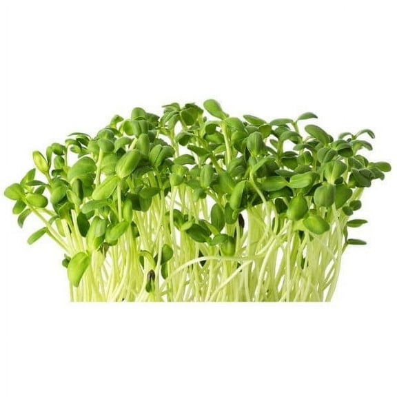 EXO Tower Hydroponic Nutrients Formulated Plant Food, 40g with Maxi-Gro 10-5-14