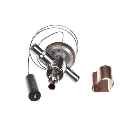 EXP VALVE KIT 000015019 - Genuine OEM Replacement Part