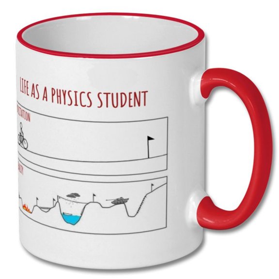 EXPECTATIONS VS REALITY physics student gift, physics student mug, physics student present, mug for physics student