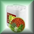 thumbnail image 1 of EXQUISITE SANDALWOOD? Massage Oil for Face & Body with 6 Kinds of Sandalwood, Botanical Extracts, 1 of 1