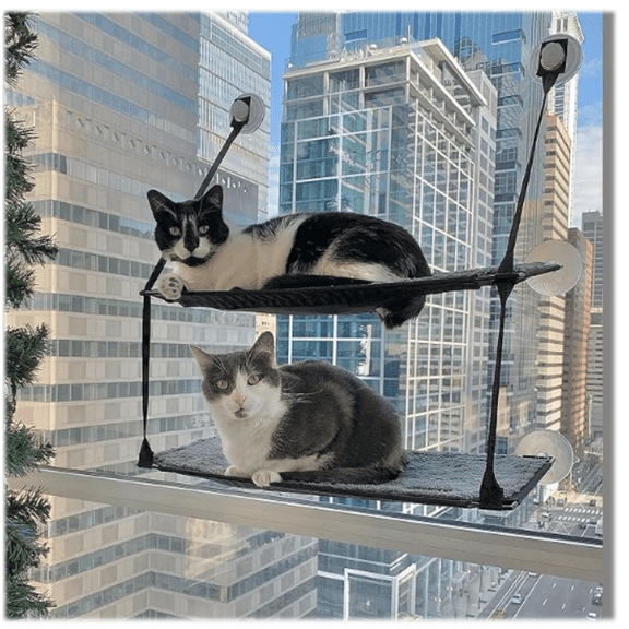 EZ Mount Double Stack Cat Window Perch For Large Cats Sturdy Window Hammock Bed Steel Frame Sturdy Suction Cups 2 Washable Shelf Covers Foldable Fits 27W X 31H Glass Spaces