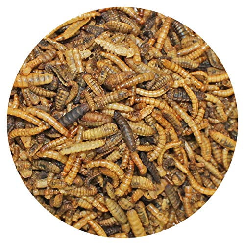 EZ-Worms (10 lb) - Blend of Dried Mealworms & Black Soldier Fly Larvae