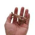 thumbnail image 1 of EZLIFE EKIDAZB Natural Coral Driftwood for Aquarium,Assorted Shapes Reptile Terrarium Decor,Sinkable Natural Wood Branches Fish Tank Decor,for Fish Aquarium Decoration K2V5, 1 of 1