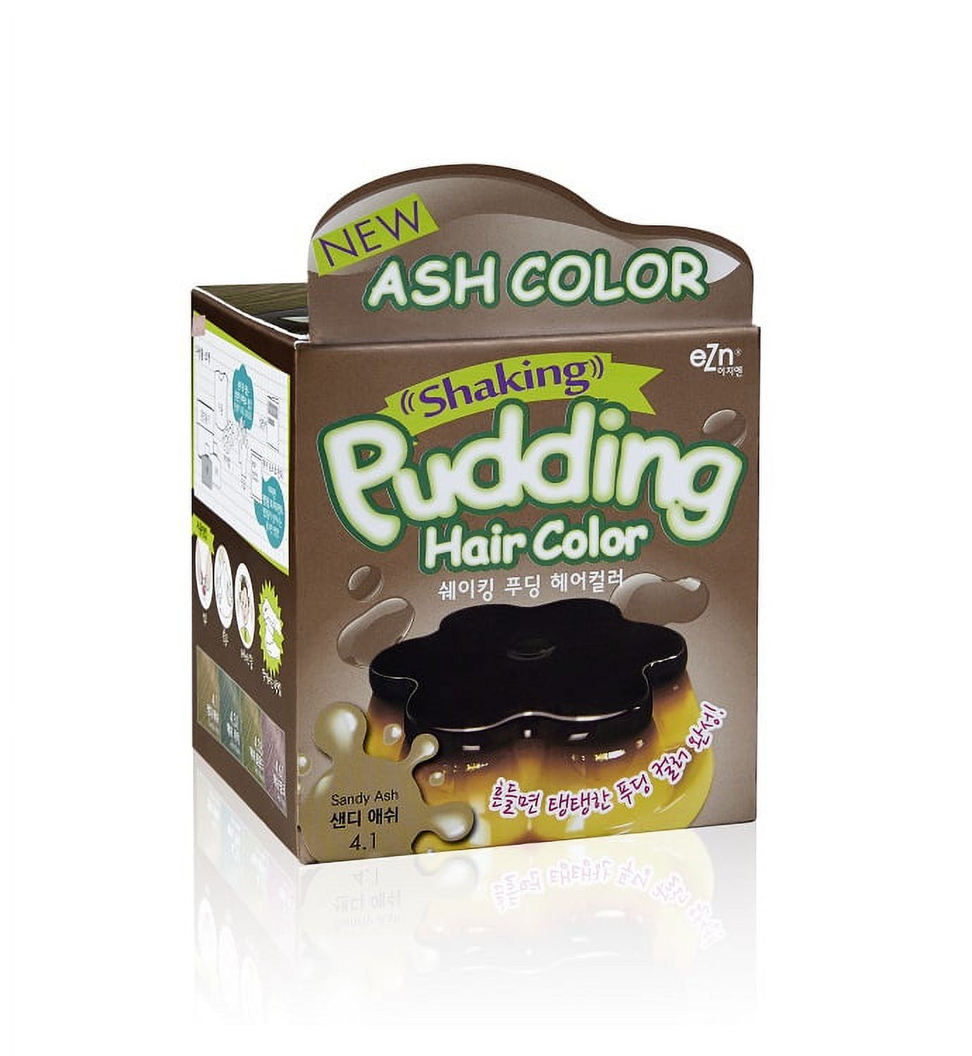 EZN Shaking Pudding Hair Dye Color 4.1 Sandy Ash, DIY Kit Included