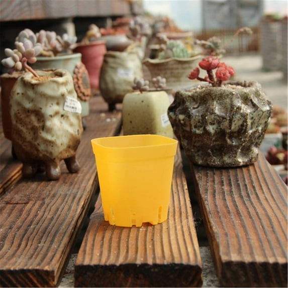 EZPXFCI 10 Pack Multi Color Square Plastic Plant Pots,Plants Nursery Pot Seedling Nursery Transplanting Planter Container Indoor Outdoor for Your Room,Garden Office and Balcony Decor