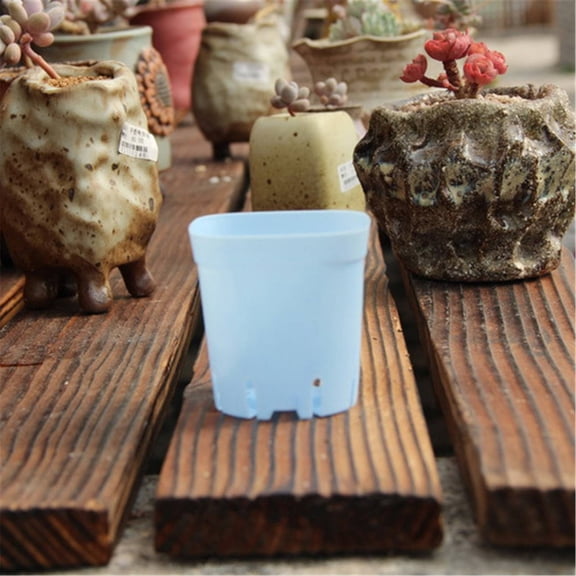 EZPXFCI 10 Pack Multi Color Square Plastic Plant Pots,Plants Nursery Pot Seedling Nursery Transplanting Planter Container Indoor Outdoor for Your Room,Garden Office and Balcony Decor