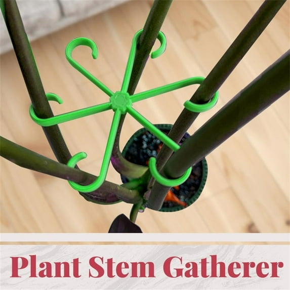 EZPXFCI 4Pcs Plant Stem Supports,Climbing Houseplant Stakes Holders Reusable Trellis Hook for Indoor Outdoor Plants Flowers Growth,4 Sizes